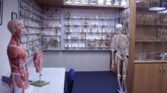 Tasmanian government apologises over stolen body parts scandal