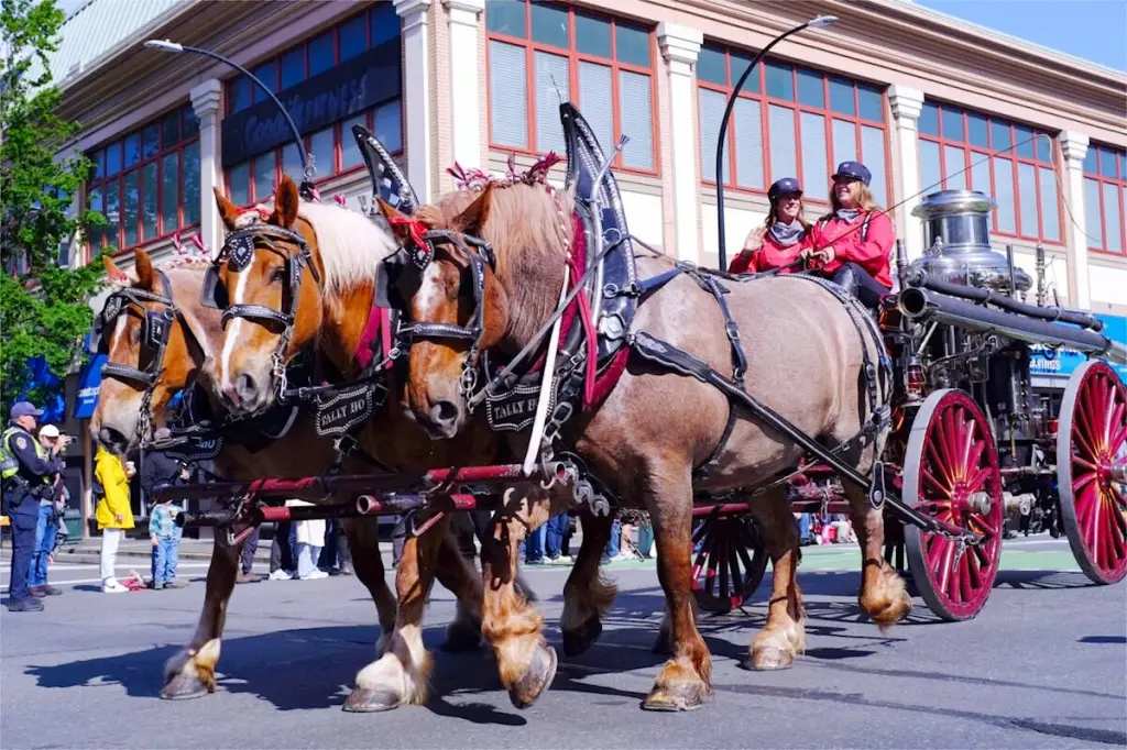 QUIZ: Are you ready for Victoria Day?