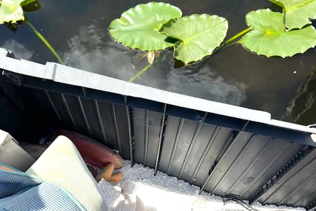 Broken lake toy blamed for sprawling Shawnigan Lake Styrofoam spill